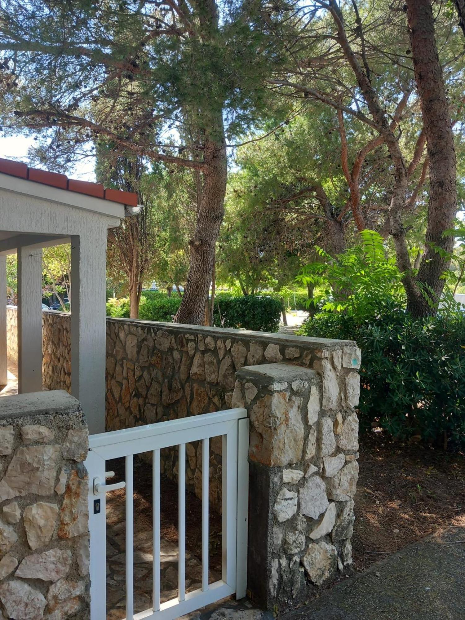 Studio Apartment Bosko Novalja Exterior photo
